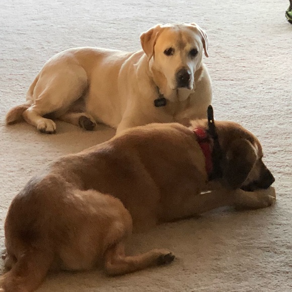 Meet your Posher, Kent - Picture 1 of 1